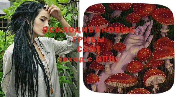 амф Алексин