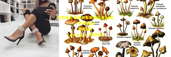 амф Алексеевка