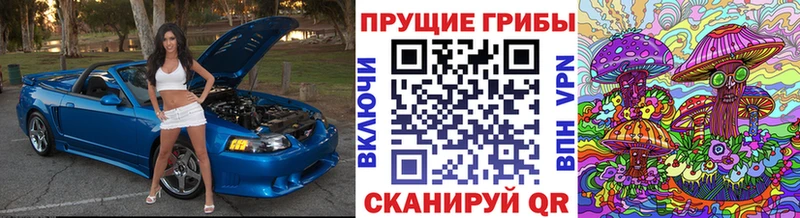 Галлюциногенные грибы Cubensis  blacksprut онион  Трёхгорный  цена  